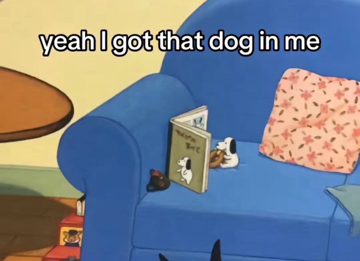 jasminericegirl's tweet image. 2025 is gonna be my year