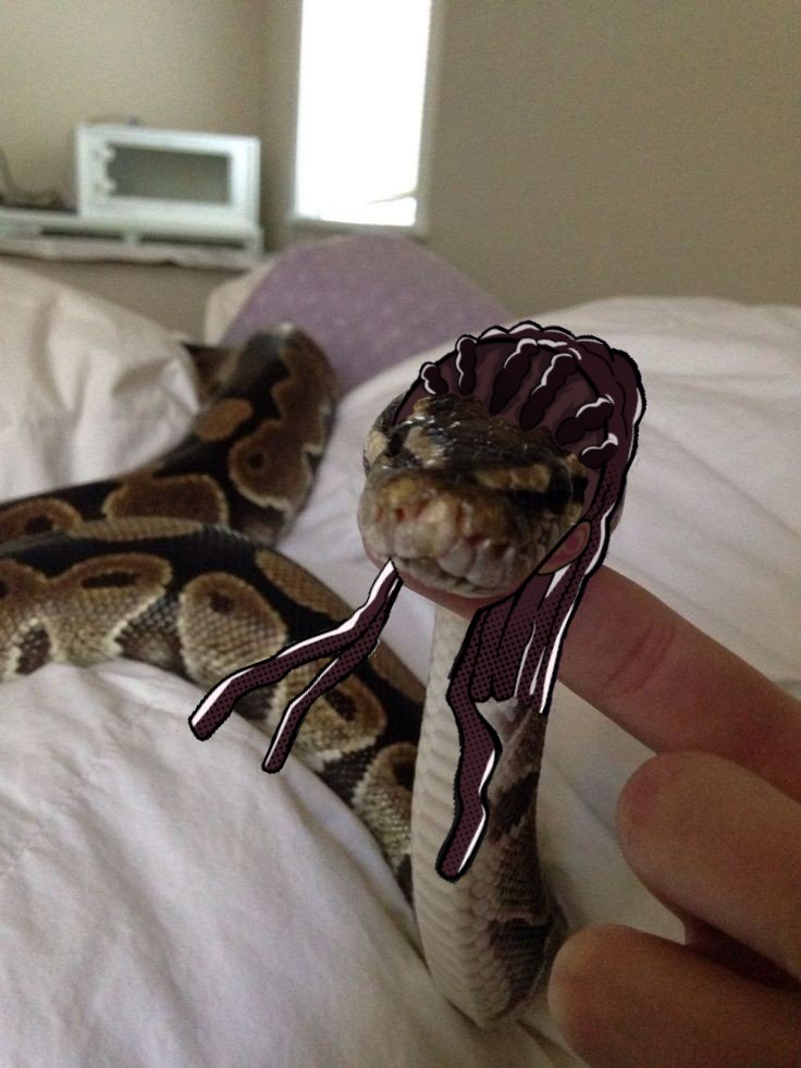 n_star1117's tweet photo. Forgot to post Misaki oops, well here are all animal killers! Ratnin,Swangel,Vnake and Catsaki!
#killerchat #roninbeaufort #roninkillerchat #angelkillerchat #vkillerchat #misakikillerchat #kc #kxtwt https://t.co/pQJHIfnJ0b