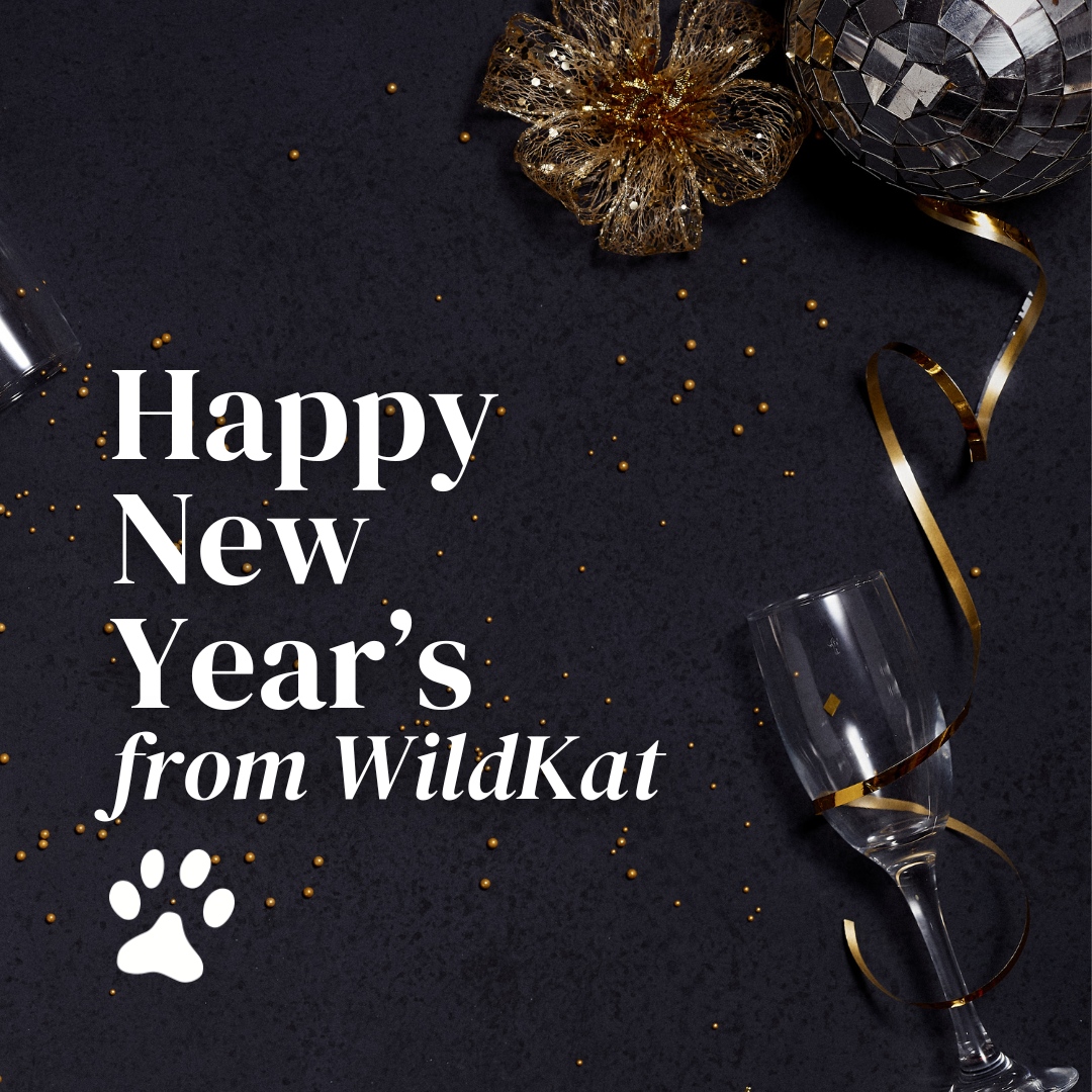 WildKat London (@wildkatpr) on Twitter photo 🍾 Happy New Year's from WildKat!
We are ecstatic about all of our accomplishments this year, and can't wait to share with you the exciting projects we have in the works. 
-
#happyholidays #classicalmusic #present #gift #kwanzaa #hanukkah #christmas 🍾 Happy New Year's from WildKat!
We are ecstatic about all of our accomplishments this year, and can't wait to share with you the exciting projects we have in the works. 
-
#happyholidays #classicalmusic #present #gift #kwanzaa #hanukkah #christmas