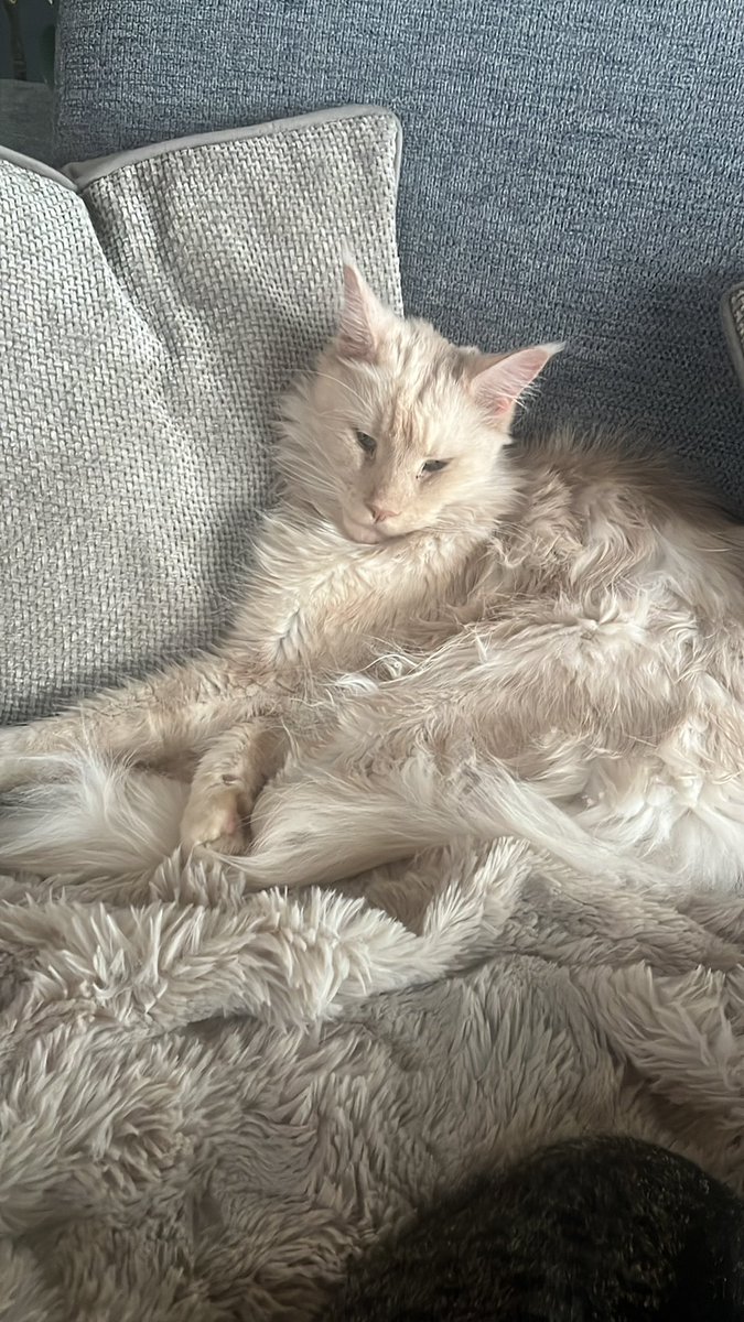 Gelukkig nieuwjaar 2025 🎉