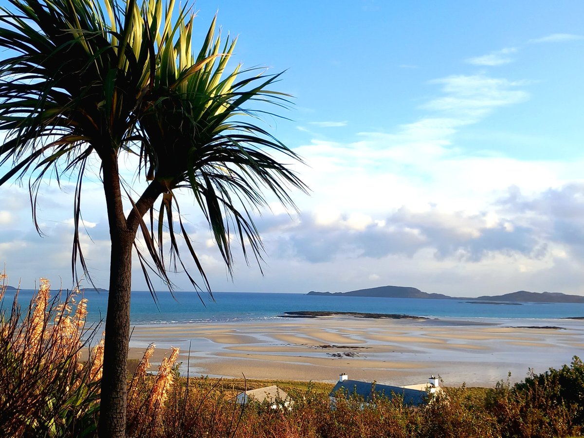 mogibarra's tweet image. A Happy New Year to you all from sunny Barra!

Bliadhna Mhath Ùr dhuibh uile. 🙂