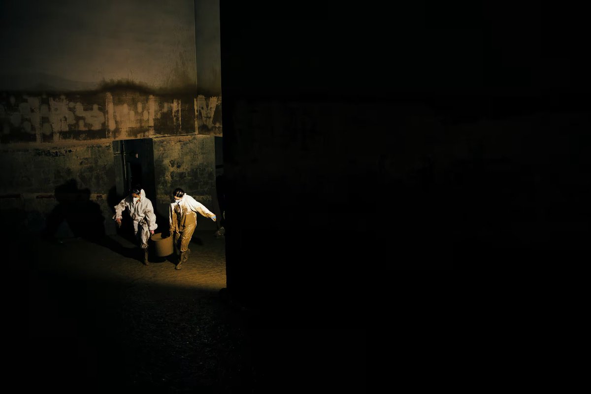 O ano 2024, en imaxes elpais.com/sociedad/2024-… via <a href="/el_pais/">EL PAÍS</a>

📸 <a href="/corralfoto/">Óscar Corral</a>