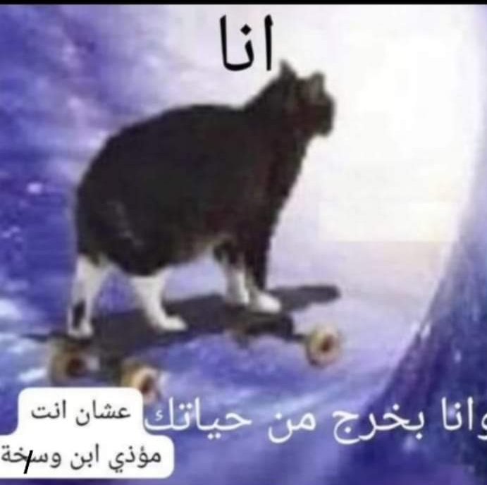zagl0ula's tweet photo. بدأنا تصفية https://t.co/9TKDZB9cX0