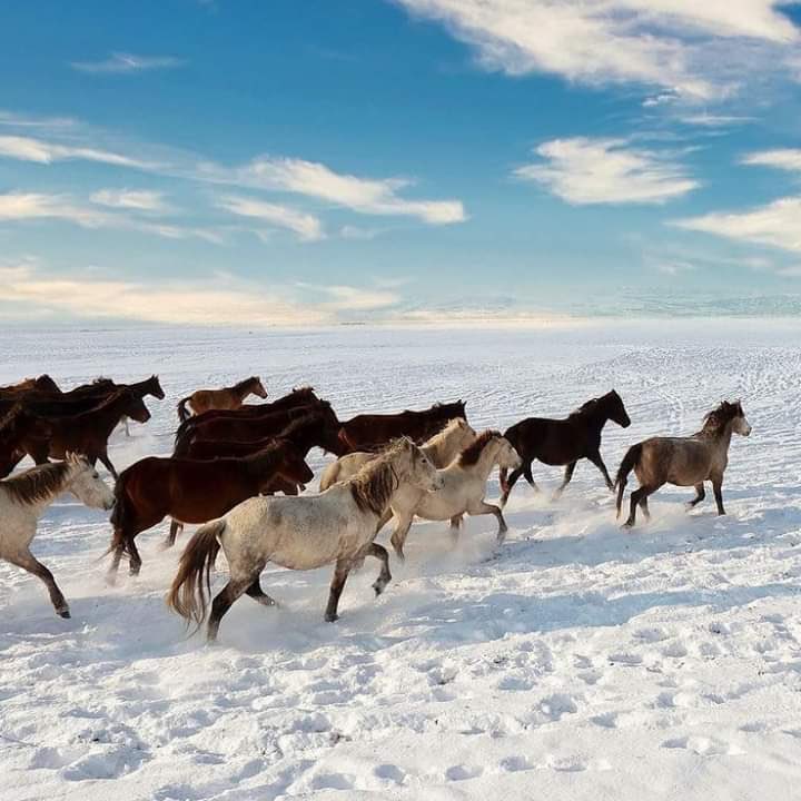 Cold desert skardu 🫳🏻

Beautiful hidden gem in the heart of Pakistan ❤️