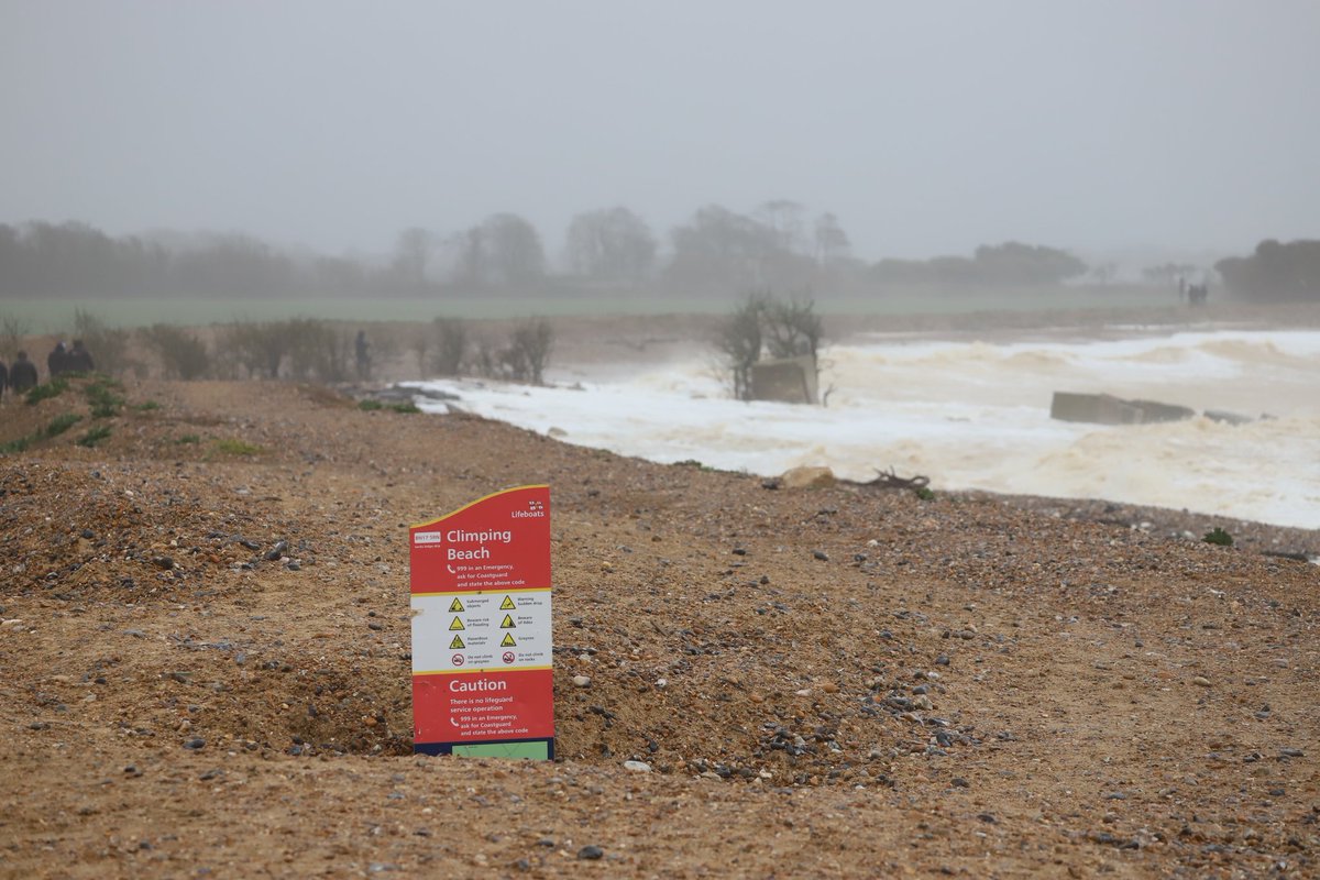 paul wells tweet media