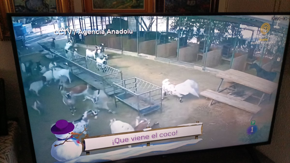 Obligaciones del primer día del año: 1- APLAUDIR LA MARCHA RADETZKI 2-VER #Increible2024 que es el esfuerzo de mis compañeros Rosa, Marta, Elena, Iris y el súper Fernando San Juan. ¡FELIZ AÑO! Ahora sí que sí empieza el #Increible2025🎉🎄💕🥳😘