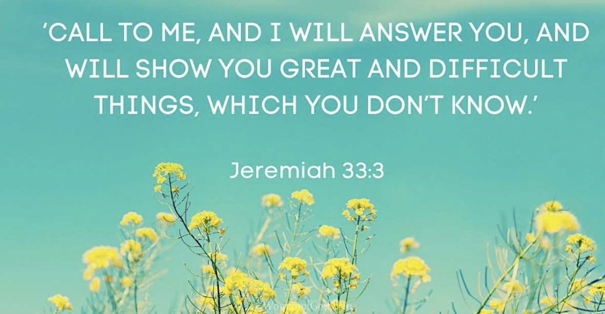 💛Good Morning 2025 Prayer Warriors💛

✨I do not know what the future holds, but I do know who holds the future✨

~ George W. Trust

🩵As we look to this new year, we may try to gain a sense of control over the unknown by planning, setting goals, or making resolutions. But most