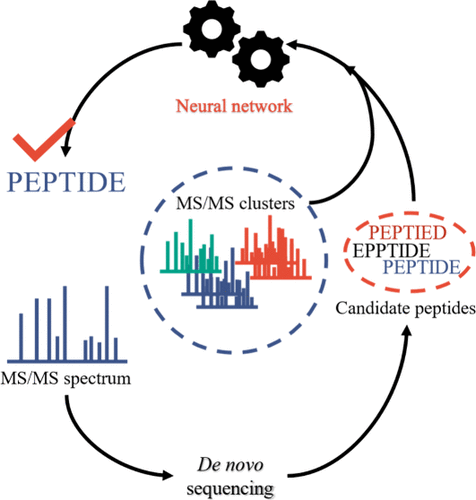 PastelBio's tweet photo. NovoRank: Refinement for De Novo Peptide Sequencing Based on Spectral Clustering and Deep Learning https://t.co/UekqIeijsM

---
#proteomics #prot-paper https://t.co/0zgg3CfXpE