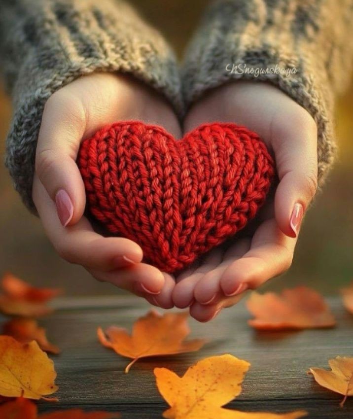 أجمل الورود والزهور 
أرسلها
 مع كل نسمة هواء لمن يزينون مساءنا  بحضورهم الأنيق❤️❤️🕊🕊

مساء الورد وعطره وجماله 🌹🌹