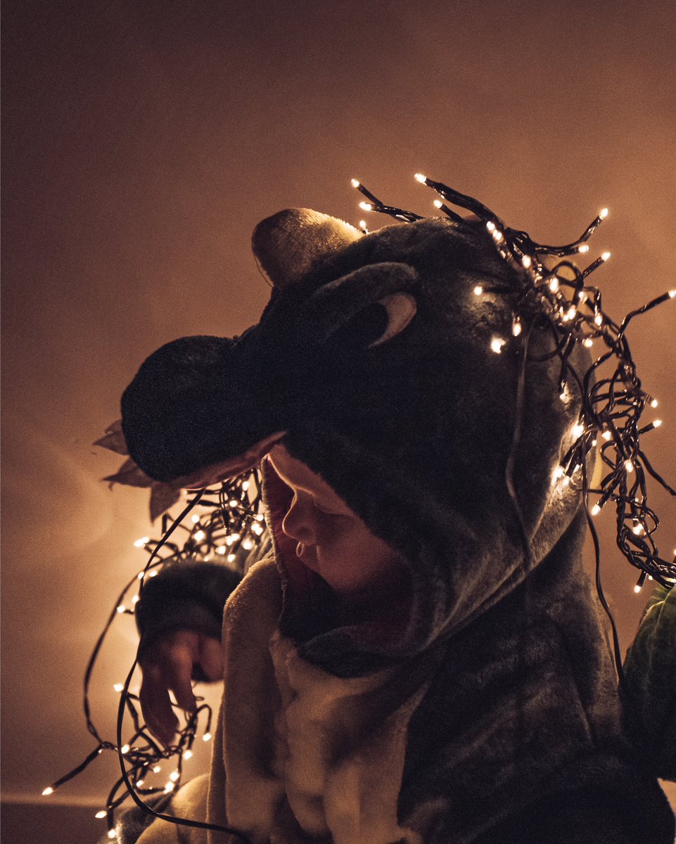 patrick blomme fotografie tweet media