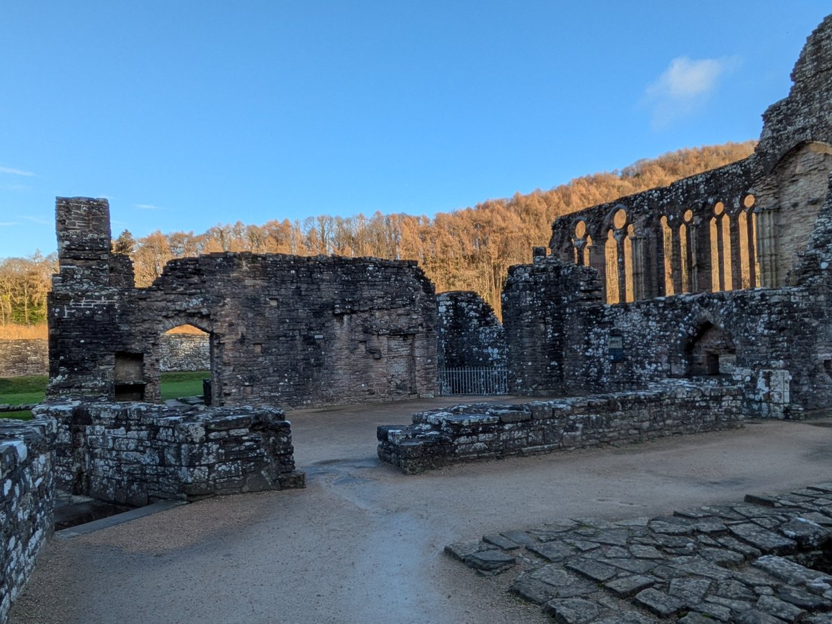 As an #EarlyModern historian, I find the post-Dissolution afterlife of monastic buildings fascinating. The room behind the low wall in the centre of the photo was the main kitchen at Tintern Abbey, repurposed in the #17thcentury as a cottage. Photo 19.12.24. <a href="/cadwwales/">Cadw</a> #abbeys