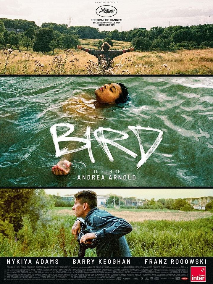Collectif5050's tweet photo. Aujourd’hui, cinq films de réalisatrices au cinéma 🎥
- Bird, d’Andrea Arnold
- La Source, de Meryam Joobeur
- Maja, une épopée finlandaise, de Tiina Lymi

1/2 https://t.co/I9zsGesqwQ