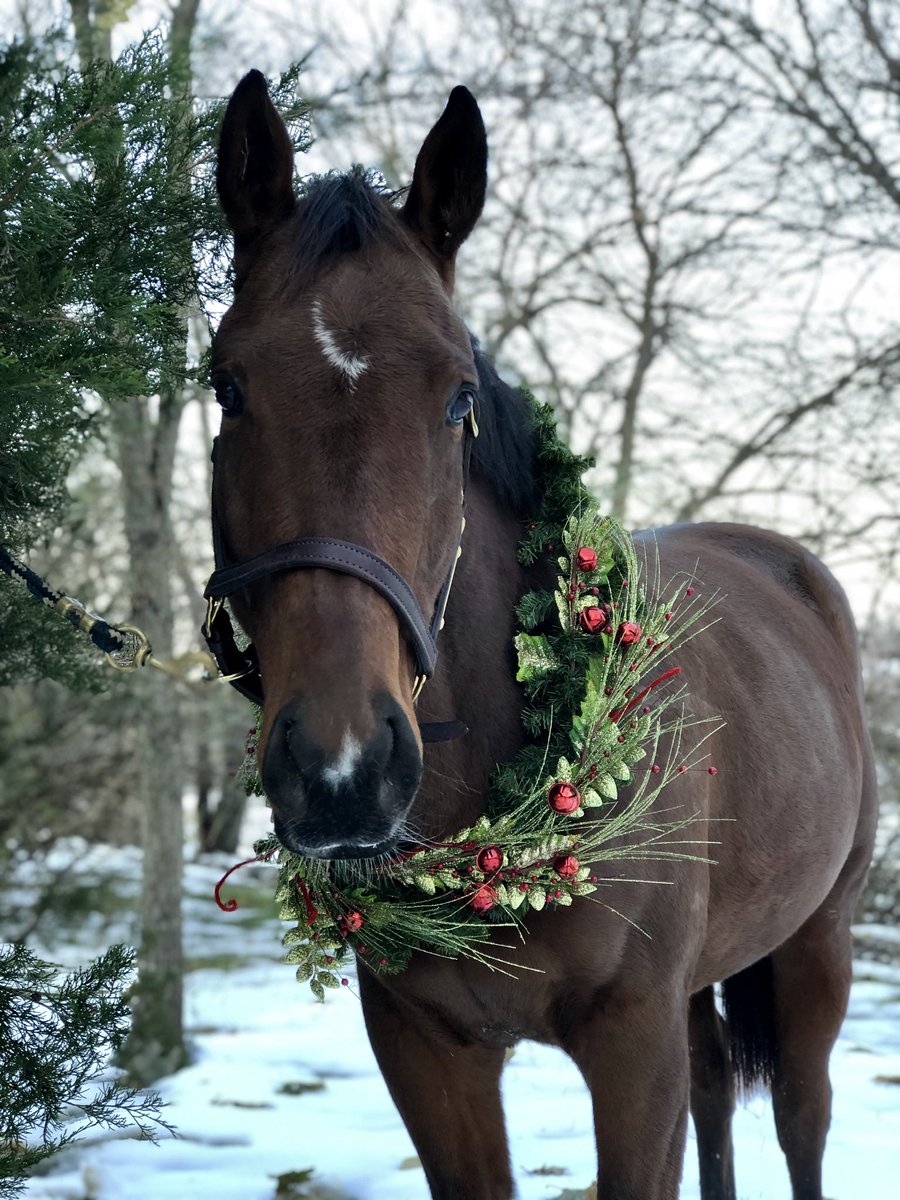 Happy Birthday to all Jan 1 pons, on and off the track 💕