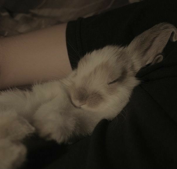 ☆•~ KENJI ~•☆

he/him. boy lover. obsessed with bunnies. autistic. clingy&amp;flirty. available. switch. 

leave a ♡ for a dm! open to literate 3rd person rp. AU enthusiast. would love to be friends! 

(Can change models for au's)
#skzrp #krp #straykidsrp