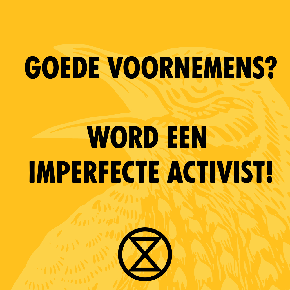 Goede voornemens? Wordt een imperfecte activist! [1/5]