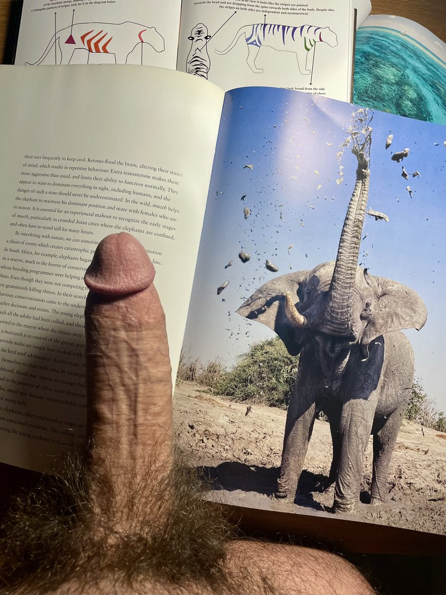 TheRealKingCock's tweet photo. https://t.co/Nliim98fnK https://t.co/QdEvjbGTCw