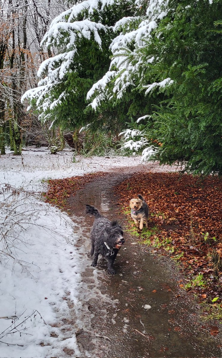 Welcome to 2025 beautiful frens! 

What a brilliant start to the year! 
Wez got snow 🥳 

Woop Woop 😍😘