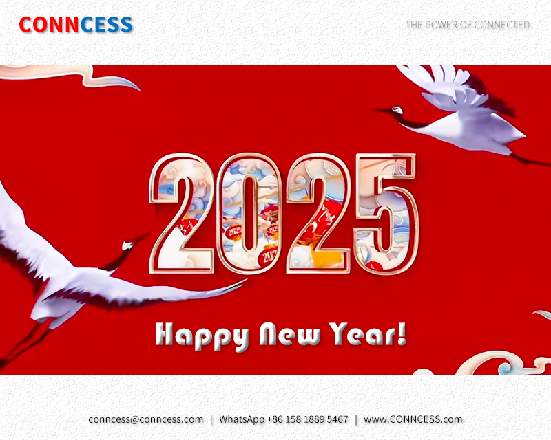 CONNCESS's tweet image. Happy New Year!