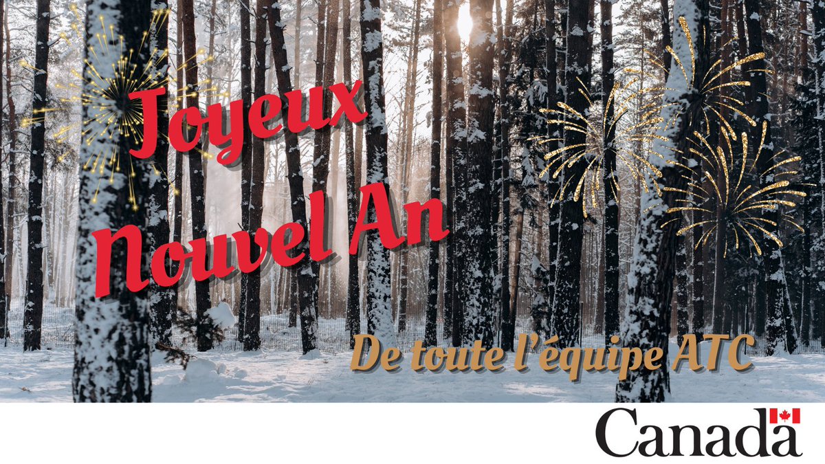 L’équipe des Accélérateurs technologiques canadiens vous souhaite une excellente année 2025 ! 🎉

Que cette année soit marquée d'idées audacieuses, d'innovations révolutionnaires et de collaborations passionnantes.

Ensemble, faisons de 2025 une année extraordinaire ! #BonneAnnée