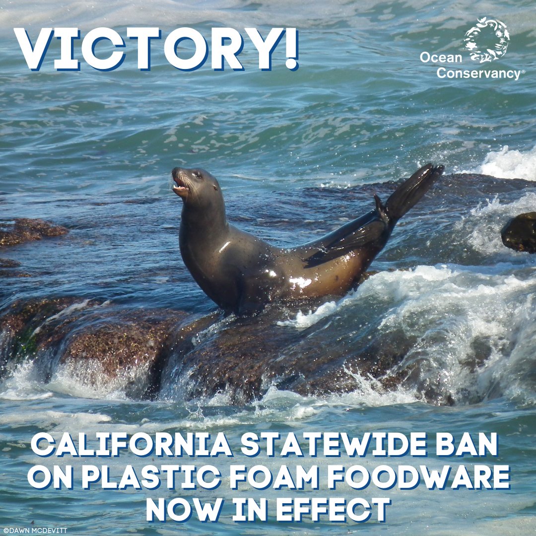 Ocean Conservancy tweet media