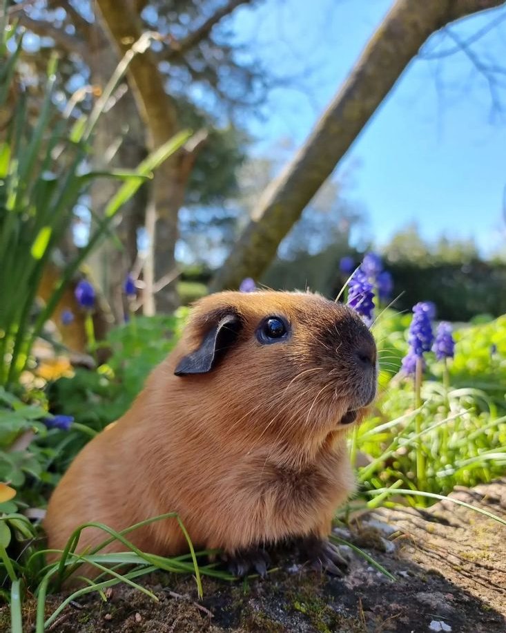 I'm not going to get a kiss  cuz I'm not perfect