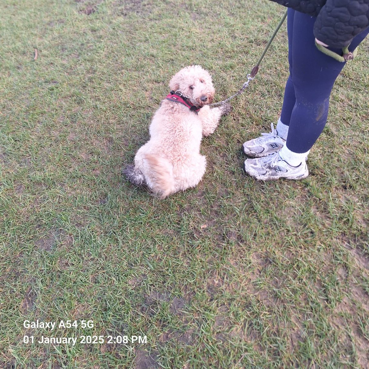 celbridgegooner tweet media