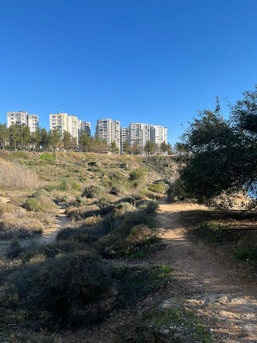 arkadaşımın google mapsden bakıp 10 dk yürürüz dediği yol
