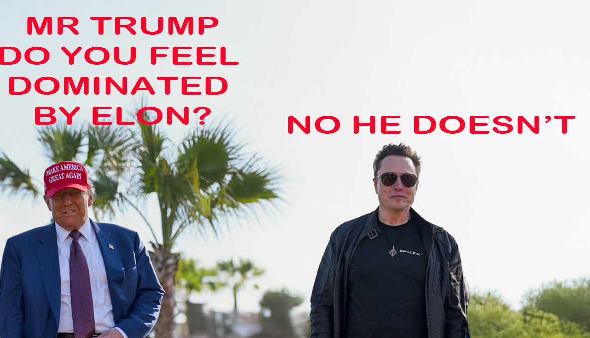 gill_az's tweet photo. @GenoVeno73 @realDonaldTrump @elonmusk https://t.co/JGWZKsNxch