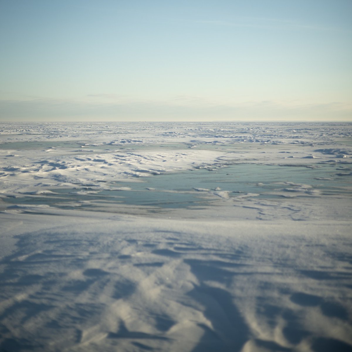 🎉🎆 Happy New Year from the Greenbelt Foundation! 🎆🎉

As we step into 2025, we’re excited for another year of celebrating and protecting Ontario’s beautiful Greenbelt. Wishing you all a year filled with adventure, nature, and joy! 🌱💚