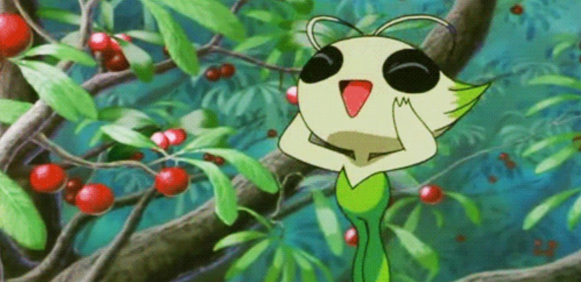 celebi loves berries