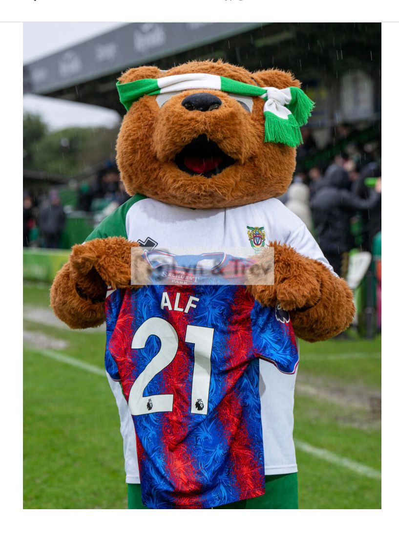 BRTFC_'s tweet photo. Despite the result, a very good turnout and reception for our latest friend @CPFCAlfie he would've loved today, love you mate❤️ https://t.co/Q2V9cJ2p83