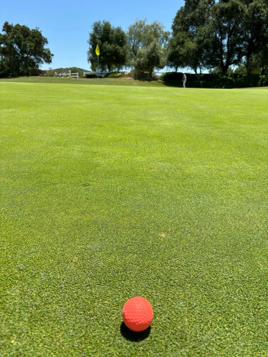 There is a small shop at the edge of the clouds, with shelves piled with years and sunsets.