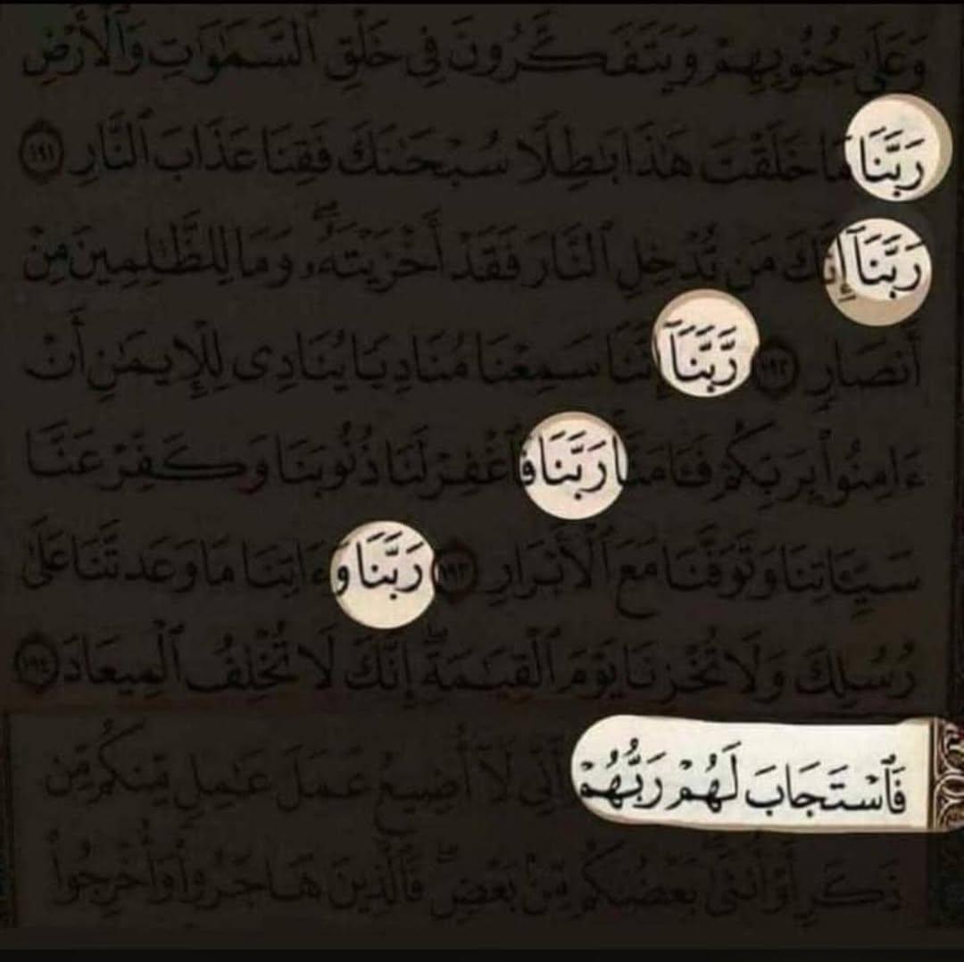 dod2442's tweet photo. ما زالوا يقولون: ربَّنا، ربَّنا
حتى استجاب لهم 🤎". https://t.co/L36gOEefNL