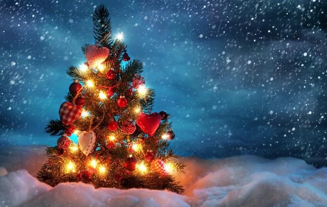 StratifyHfEu's tweet photo. 🎅 Cheers to a new year of health and happiness! May you find joy in every step towards a healthier lifestyle. Take care of your heart! 
🌲 

Sincerely,
STRTATIFYHF Consortium

#HorizonEU #STRATIFYHF #heartfailure #HaDEA https://t.co/iuRmMri77V