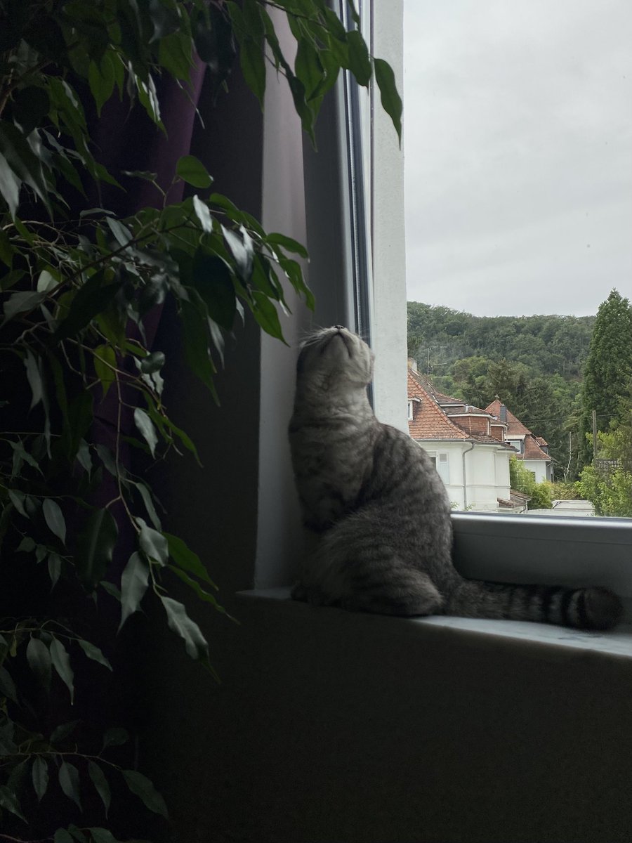 - naz (@feuerlust) on Twitter photo 