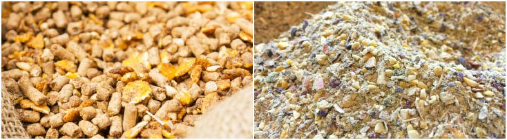 Sibobugingo Joël tweet media