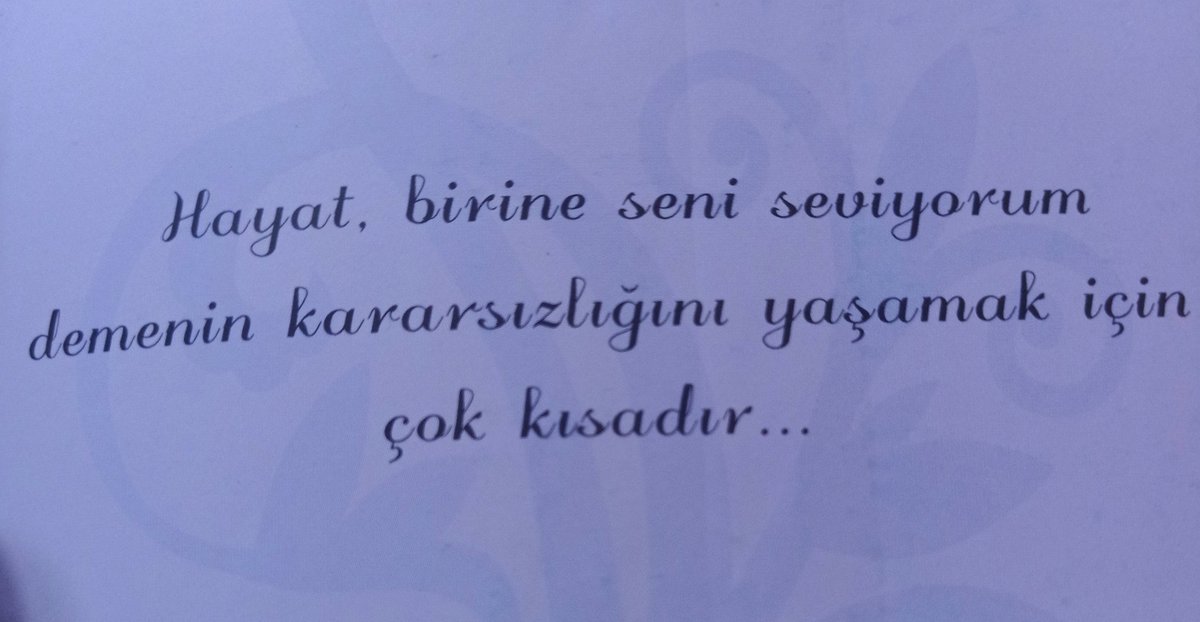 Suna tweet media