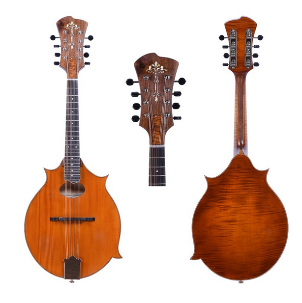 thesemanviolins's tweet photo. Fretted Instruments https://t.co/wmHQLVhOE4