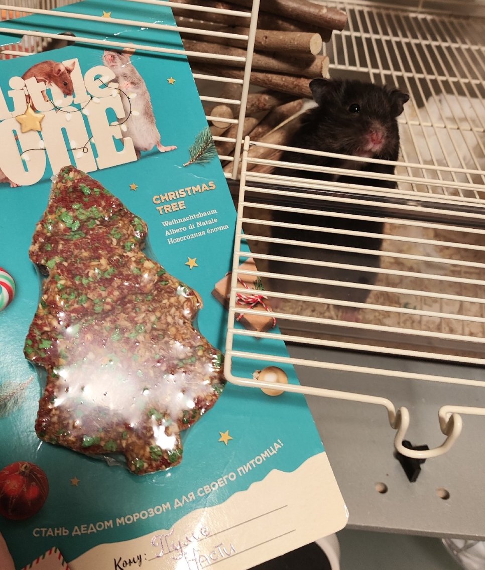 Sad Brick tweet media