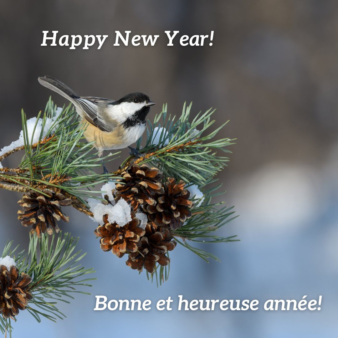 Happy New Year! ✨🎉 We're so grateful to have you in our community. Your support inspires us every day. Wishing you and your loved ones health and happiness in 2025. Together, we’ll protect Canada’s wild spaces and create a better future for our planet. #ThankYou