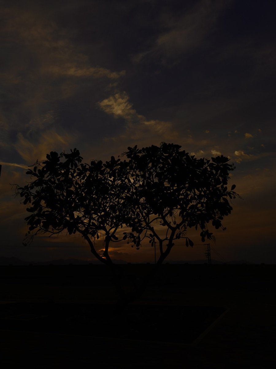 هنا جمال الغروب ❤️