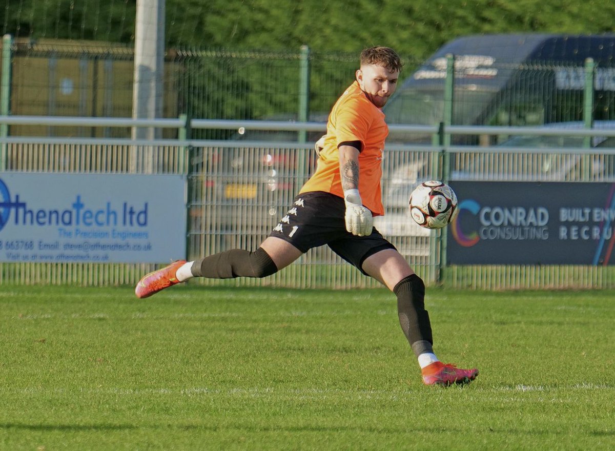 Joe Potter tweet media