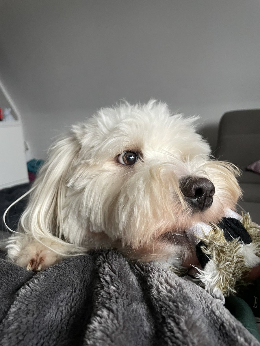 Frohes neues Jahr 🍾🥂
Mögen alle eure Ziele erreichbar sein 🫶🏼