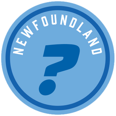 Newfoundland Regiment tweet media