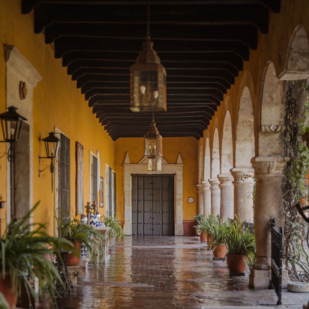 HdaElCarmen's tweet photo. Inicia el año regalándote el descanso que tanto deseas en Hacienda El Carmen. 🍃✨

PROMOCIÓN FLASH 🔥
-50% en hospedaje este 3 y/o 4 de enero de 2025 en todas nuestras alcobas.

Reserva ahora vía WhatsApp al 386 105 4712.
Aplican restricciones. No acumulable. Solo en Hospedaje. https://t.co/IScup0f6hK