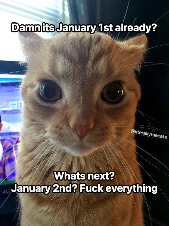 literallymecats's tweet photo. https://t.co/HuFOvo7S0u