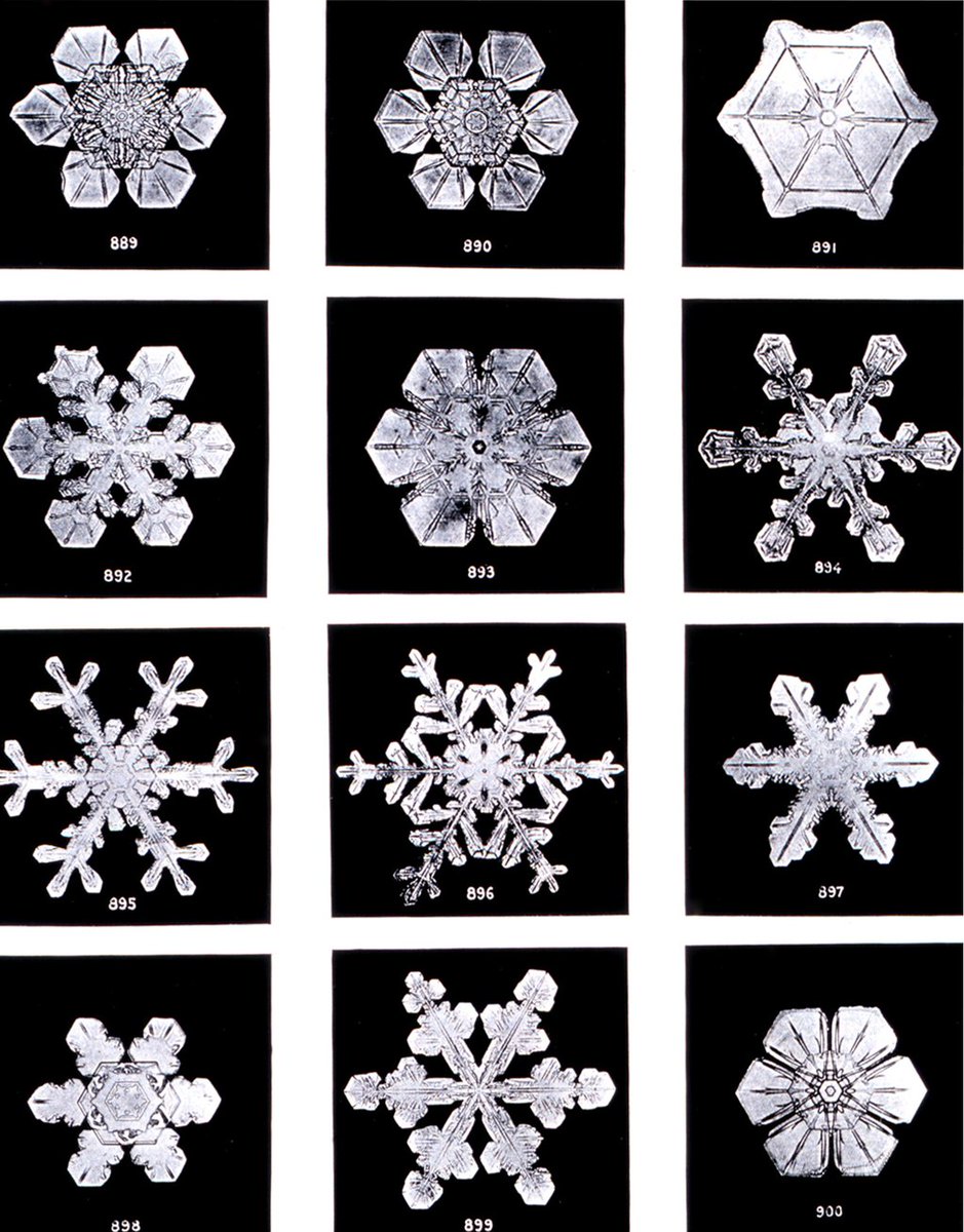 Various shapes of snowflakes showing symmetry in nature photographed by Wilson Bentley in 1902.