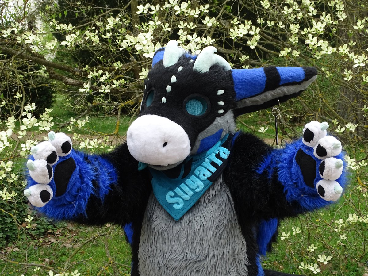 Happy New Year my follower. Im sorry for beeing inactive. A lot of stuff is changed here and im now im coming back with cuteness. Say hello to sugarra.

Fursuiter <a href="/SugarraAcnologi/">Sugarra Agnologia</a> 
Fursuitmaker: <a href="/ChimotOwO/">Chimoto 🔜Gdakon</a> 
Photo made and edit by me