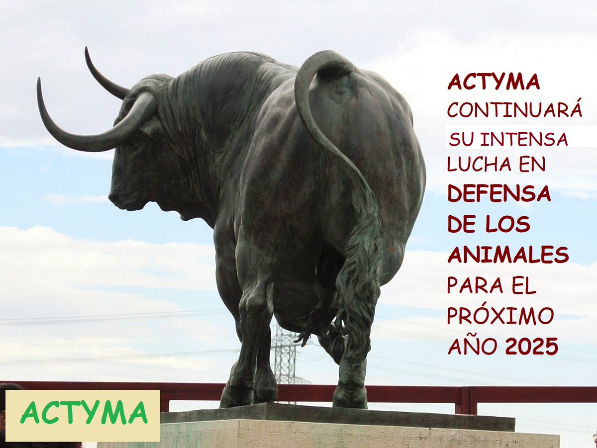 ACTYMA1's tweet image. 