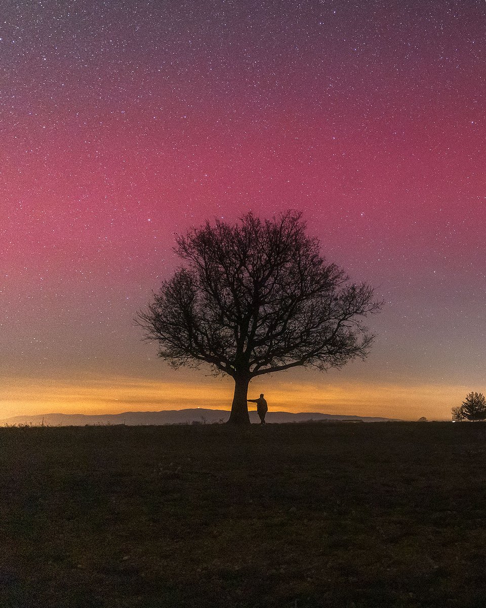 AdrienNoat's tweet photo. L'année 2025 commence par des aurores boréales sur le plateau de Valensole dans les #alpesdehauteprovence #auroreboreale https://t.co/az9soBeYf1